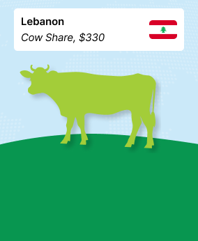 Qurban to Lebanon (Cow Share) - $330