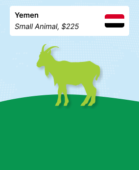 Qurban to Yemen (Small Animal) - $225